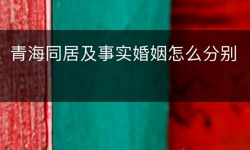 青海同居及事实婚姻怎么分别