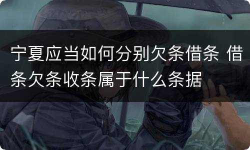 宁夏应当如何分别欠条借条 借条欠条收条属于什么条据