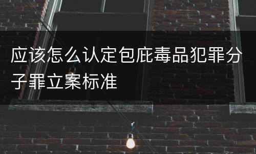 应该怎么认定包庇毒品犯罪分子罪立案标准