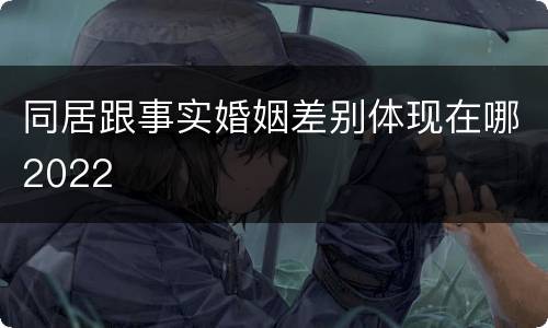 同居跟事实婚姻差别体现在哪2022