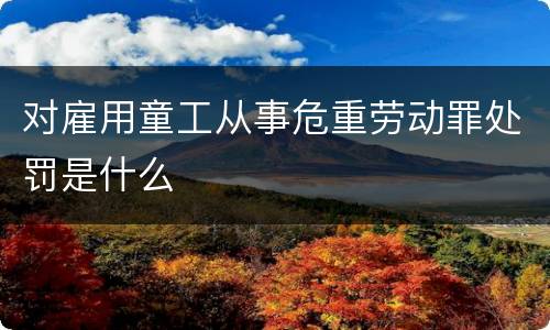 对雇用童工从事危重劳动罪处罚是什么