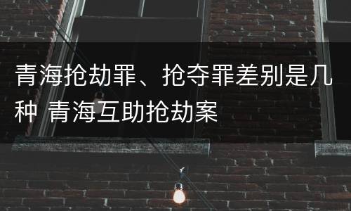 青海抢劫罪、抢夺罪差别是几种 青海互助抢劫案