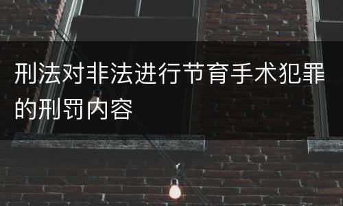 刑法对非法进行节育手术犯罪的刑罚内容