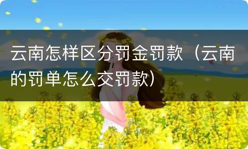 云南怎样区分罚金罚款（云南的罚单怎么交罚款）