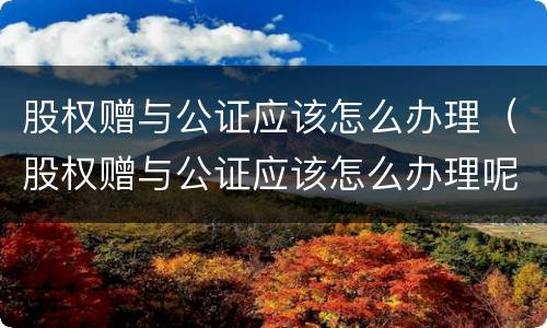 股权赠与公证应该怎么办理（股权赠与公证应该怎么办理呢）