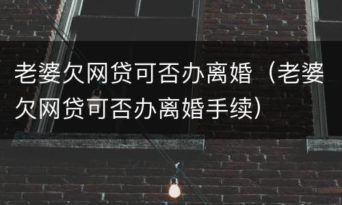 老婆欠网贷可否办离婚（老婆欠网贷可否办离婚手续）