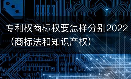 专利权商标权要怎样分别2022（商标法和知识产权）