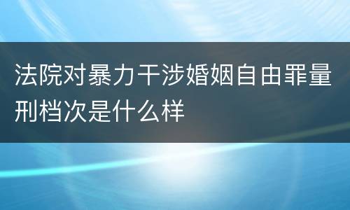 法院对暴力干涉婚姻自由罪量刑档次是什么样