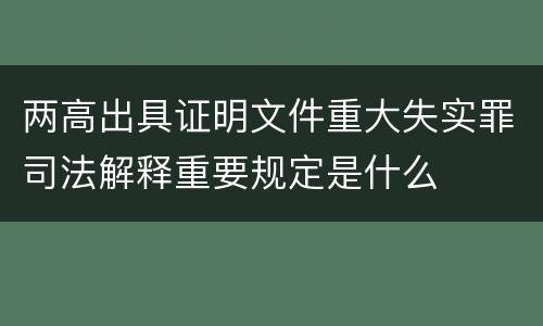 两高出具证明文件重大失实罪司法解释重要规定是什么