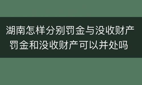 湖南怎样分别罚金与没收财产 罚金和没收财产可以并处吗