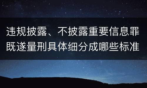 违规披露、不披露重要信息罪既遂量刑具体细分成哪些标准
