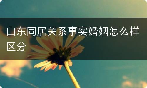 山东同居关系事实婚姻怎么样区分