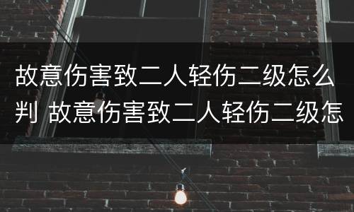故意伤害致二人轻伤二级怎么判 故意伤害致二人轻伤二级怎么判定
