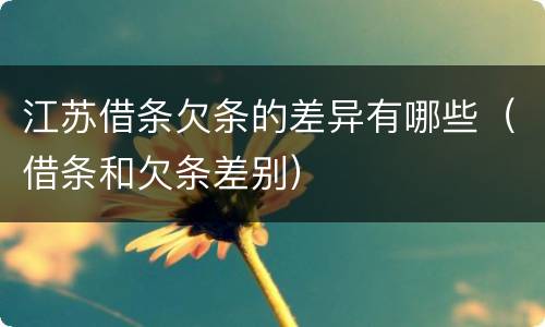 江苏借条欠条的差异有哪些（借条和欠条差别）
