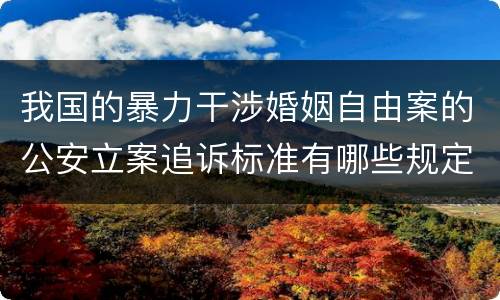 我国的暴力干涉婚姻自由案的公安立案追诉标准有哪些规定