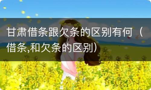 甘肃借条跟欠条的区别有何（借条,和欠条的区别）