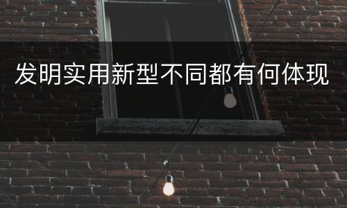 发明实用新型不同都有何体现