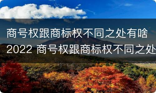 商号权跟商标权不同之处有啥2022 商号权跟商标权不同之处有啥2022年的