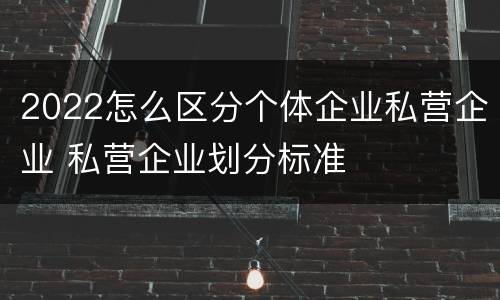 2022怎么区分个体企业私营企业 私营企业划分标准