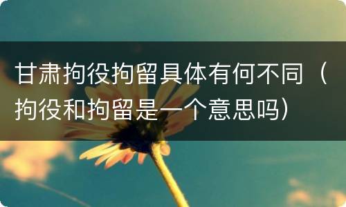 甘肃拘役拘留具体有何不同（拘役和拘留是一个意思吗）