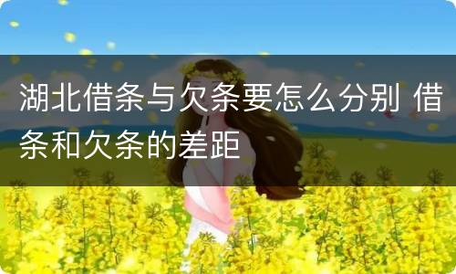 湖北借条与欠条要怎么分别 借条和欠条的差距