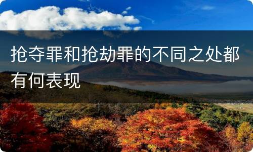 抢夺罪和抢劫罪的不同之处都有何表现