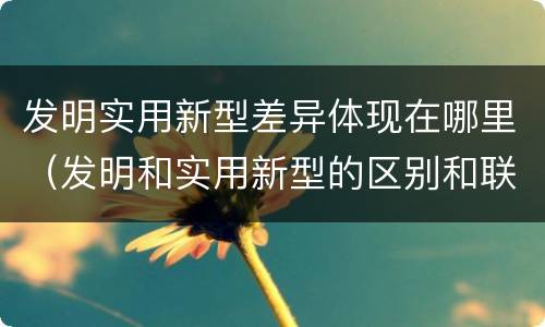 发明实用新型差异体现在哪里（发明和实用新型的区别和联系有什么）
