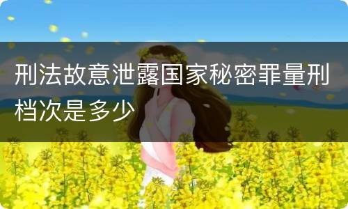 刑法故意泄露国家秘密罪量刑档次是多少