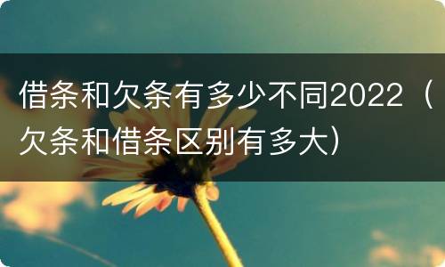 借条和欠条有多少不同2022（欠条和借条区别有多大）