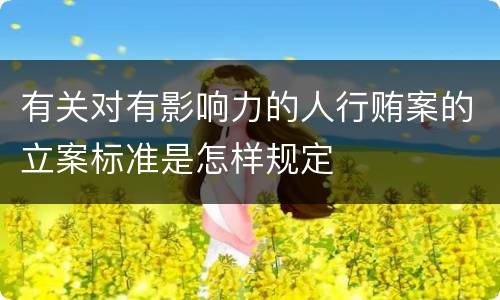 有关对有影响力的人行贿案的立案标准是怎样规定