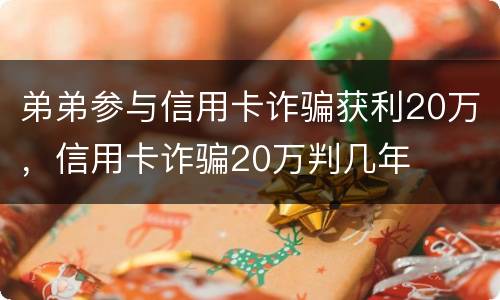 弟弟参与信用卡诈骗获利20万，信用卡诈骗20万判几年
