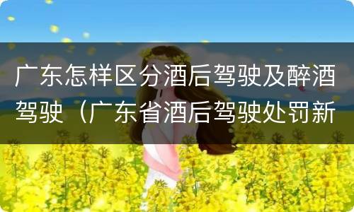 广东怎样区分酒后驾驶及醉酒驾驶（广东省酒后驾驶处罚新标准）