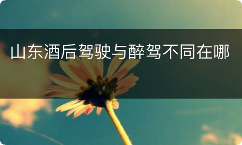 山东酒后驾驶与醉驾不同在哪