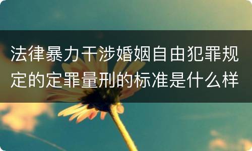 法律暴力干涉婚姻自由犯罪规定的定罪量刑的标准是什么样的