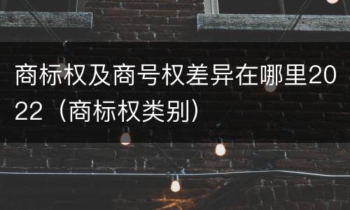 商标权及商号权差异在哪里2022（商标权类别）