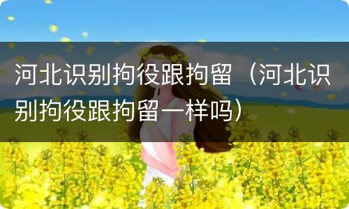 河北识别拘役跟拘留（河北识别拘役跟拘留一样吗）