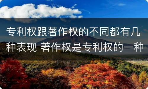 专利权跟著作权的不同都有几种表现 著作权是专利权的一种吗