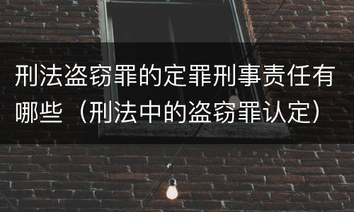 刑法盗窃罪的定罪刑事责任有哪些（刑法中的盗窃罪认定）