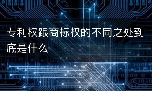 专利权跟商标权的不同之处到底是什么