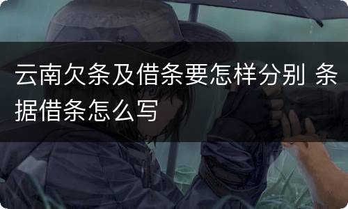 云南欠条及借条要怎样分别 条据借条怎么写