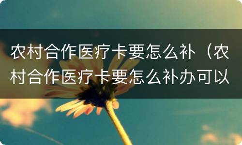 农村合作医疗卡要怎么补（农村合作医疗卡要怎么补办可以网上补办呢）