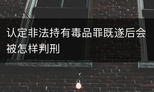 认定非法持有毒品罪既遂后会被怎样判刑