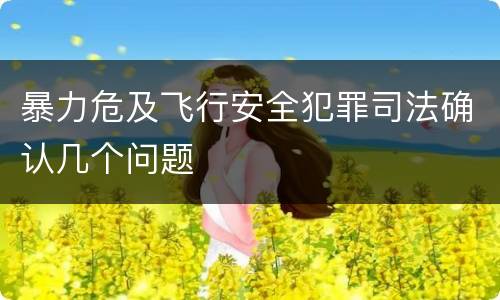 暴力危及飞行安全犯罪司法确认几个问题