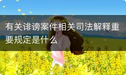 有关诽谤案件相关司法解释重要规定是什么