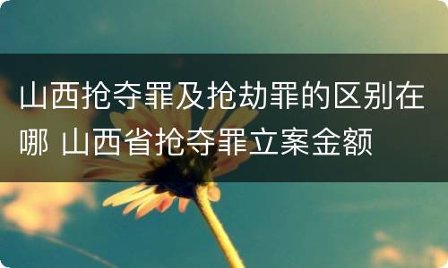 山西抢夺罪及抢劫罪的区别在哪 山西省抢夺罪立案金额