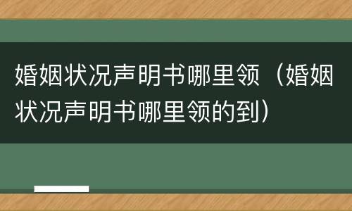 婚姻状况声明书哪里领（婚姻状况声明书哪里领的到）