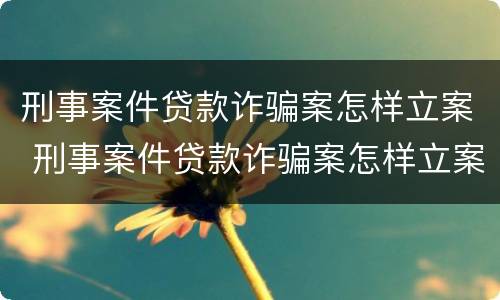 刑事案件贷款诈骗案怎样立案 刑事案件贷款诈骗案怎样立案起诉