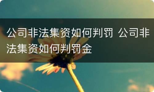 公司非法集资如何判罚 公司非法集资如何判罚金