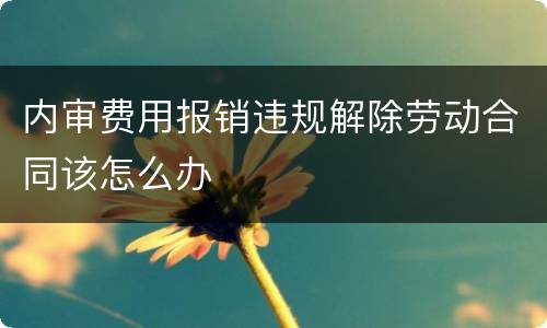 内审费用报销违规解除劳动合同该怎么办
