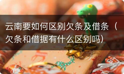 云南要如何区别欠条及借条（欠条和借据有什么区别吗）